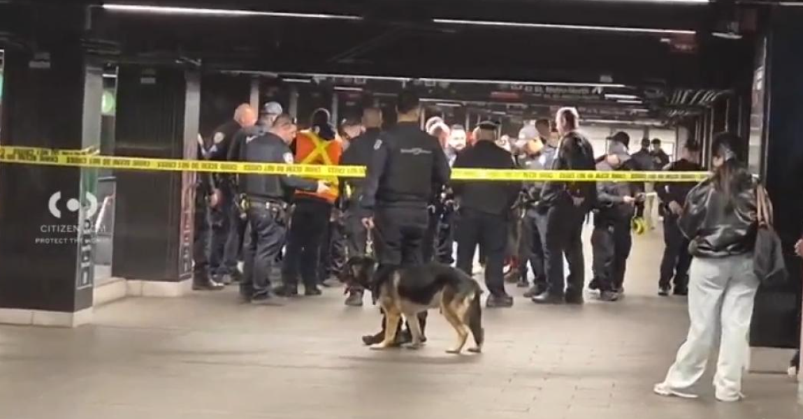 Americanul „Lucifer” a măcelărit cu maceta bătrâni în New York, apoi a fost împușcat