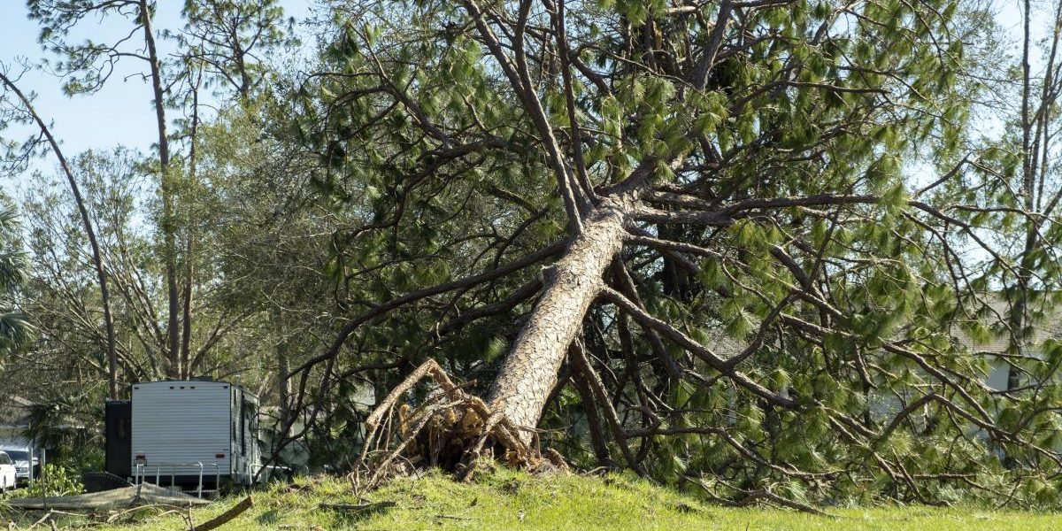 Alertă ANM: Cod galben de vânt puternic. Rafale de 90 km/h în România