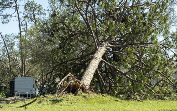 Alertă ANM: Cod galben de vânt puternic. Rafale de 90 km/h în România