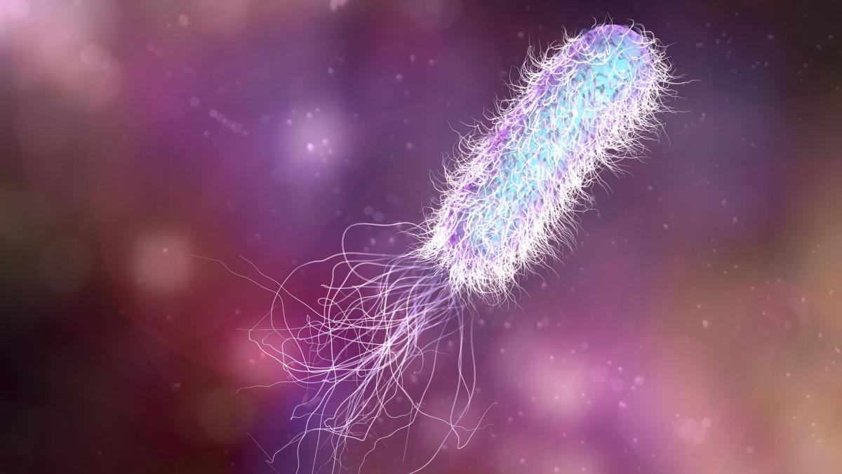 Bacteria pseudomonas aeruginosa depistată din nou la Spitalul de Pediatrie Ploiești Conducerea Spitalului de Pediatrie Ploiești a descoperit din nou bacteria pseudomonas aeruginosa în apa utilizată în cadrul unității sanitare, determinând măsuri urgente pentru evitarea riscului de infecție
