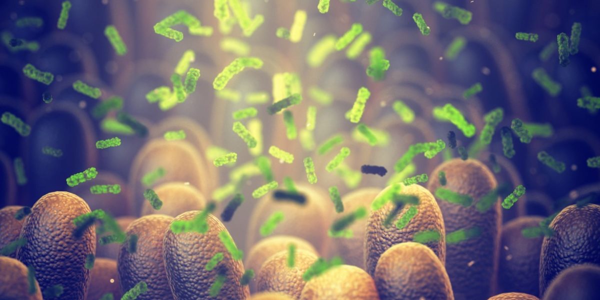 Bacterie ucigașă: Oamenii de știință spulberă tumorile din interior