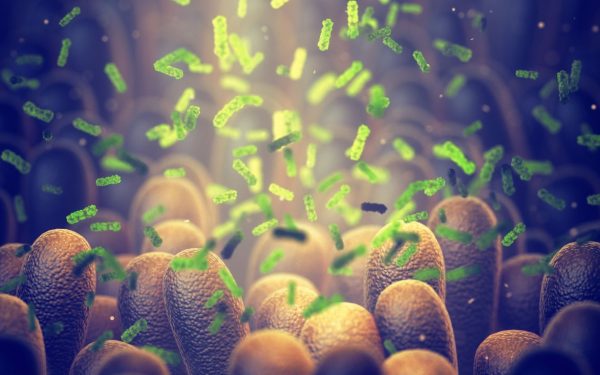 Bacterie ucigașă: Oamenii de știință spulberă tumorile din interior