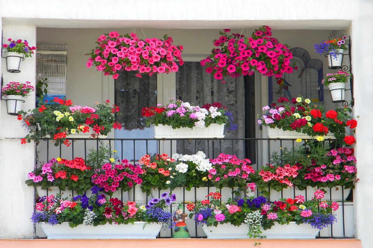 Șapte secrete pentru un balcon floral: Transformă-l în oază de parfum!