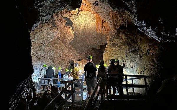 Ursul se trezește la Moneasa, județul Arad: Peștera se deschide turiștilor