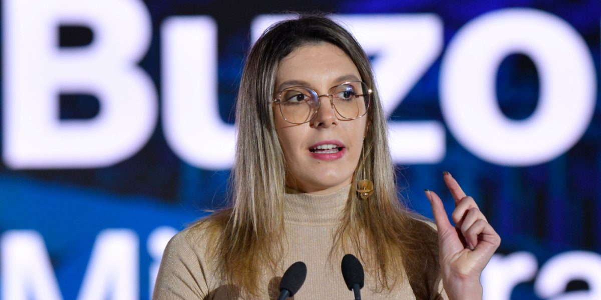 Victorie pentru Ministerul Mediului: Drumul din Pădurea Băneasa, blocat în primă instanță