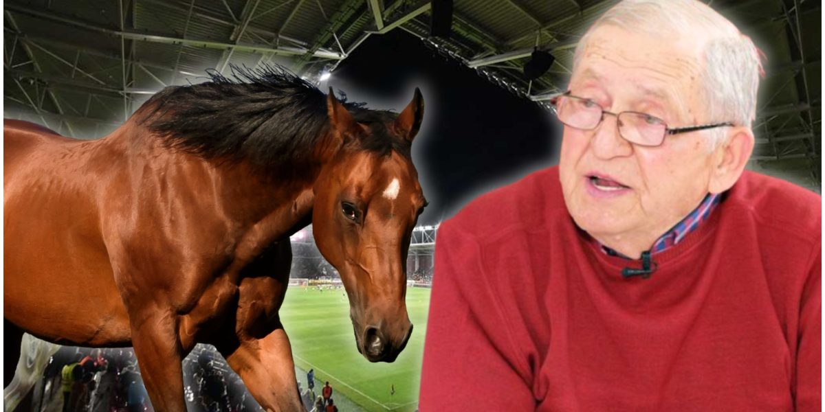 Calul misterios din vestiarul Rapidului: „N-am 11 jucători, bă!”