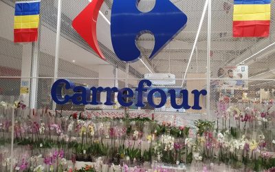 Mall-urile din București, desolate de Paște 2026: Un singur centru comercial deschis