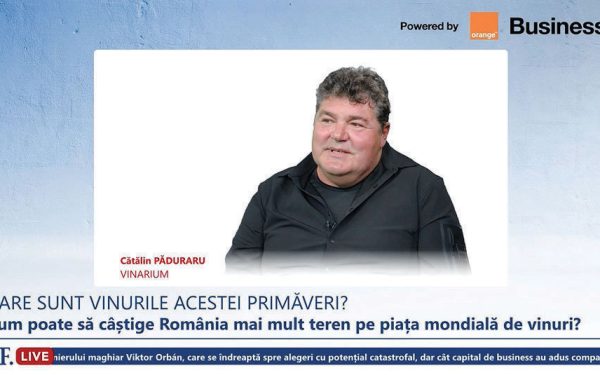 A7, „Autostrada Podgoriilor”, impuls pentru turismul cu vin în România