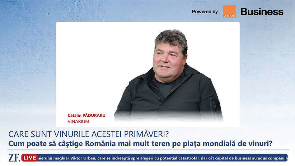 A7, „Autostrada Podgoriilor”, impuls pentru turismul cu vin în România