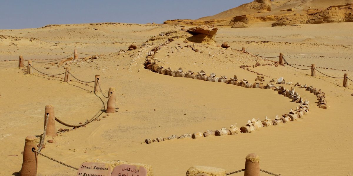 Eveniment misterios, acum 4200 de ani, a declanșat prăbușirea Egiptului Antic