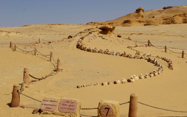 Eveniment misterios, acum 4200 de ani, a declanșat prăbușirea Egiptului Antic