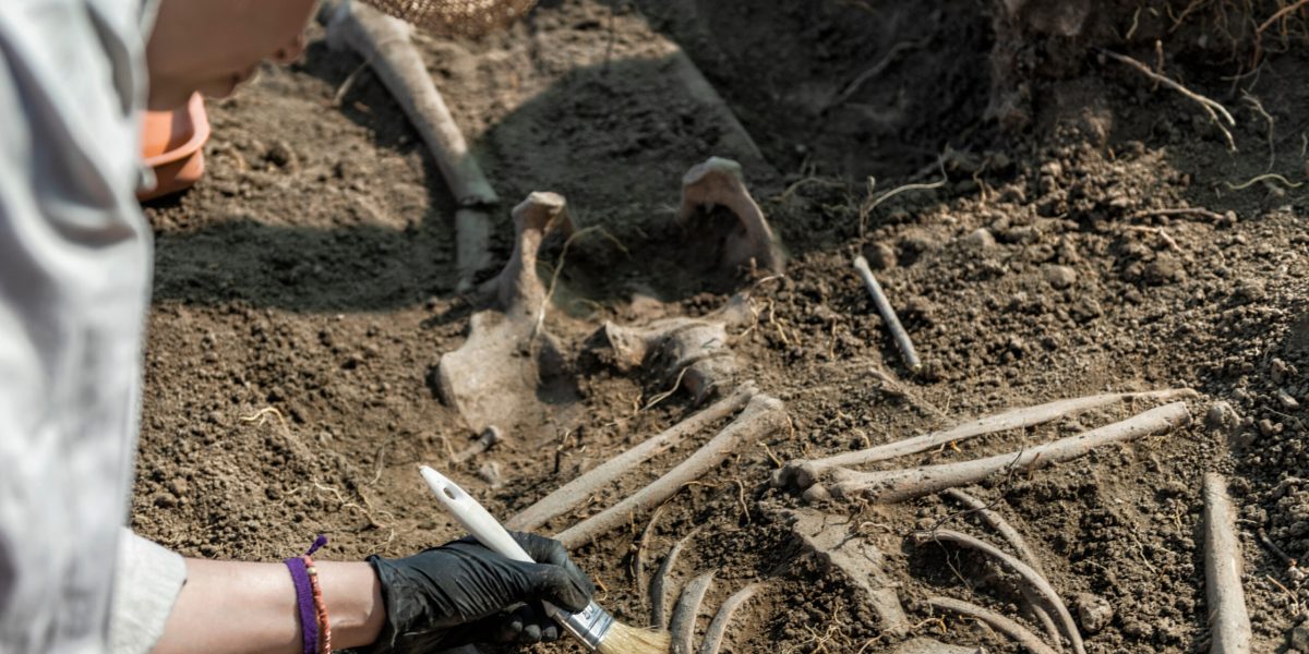 Peisaj antic: Descoperire uluitoare a unor rămășițe umane vechi de 100.000 ani