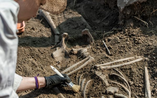 Peisaj antic: Descoperire uluitoare a unor rămășițe umane vechi de 100.000 ani