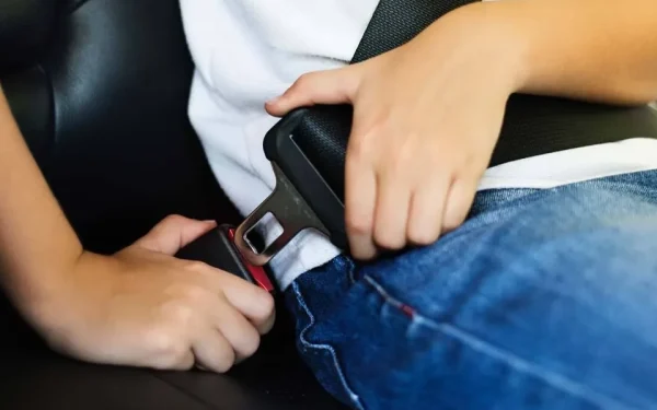 Șoferii, în război pe net: „Ești prost dacă porți centură”