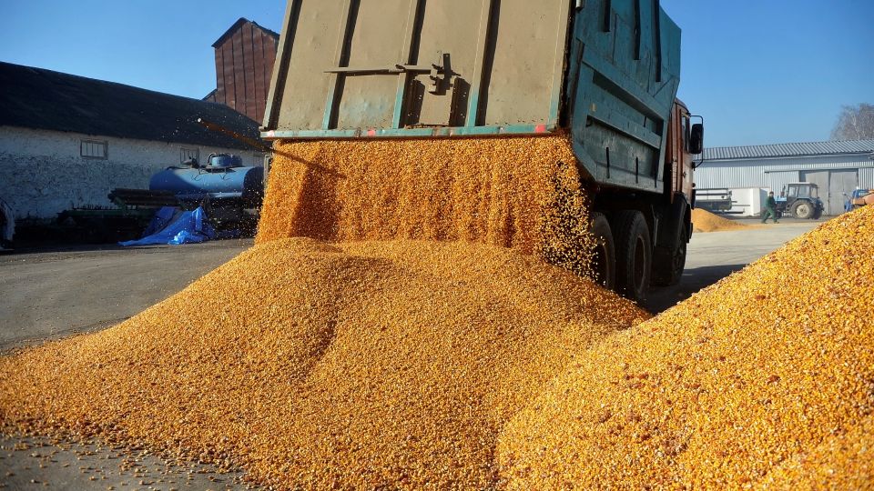 Afacerile Agropec Dionis, explozie în 2025: Cum au prosperat traderii de cereale din România