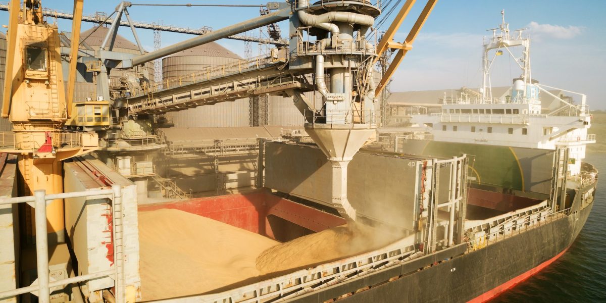 Cereale: Câți bani au primit fermierii români anul trecut, pe exporturi