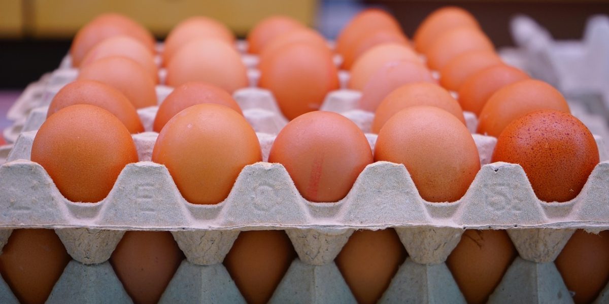 Ouă cu Salmonella: 1,5 milioane oprite să ajungă în magazine