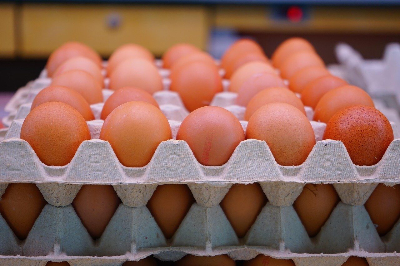 Ouă cu Salmonella: 1,5 milioane oprite să ajungă în magazine