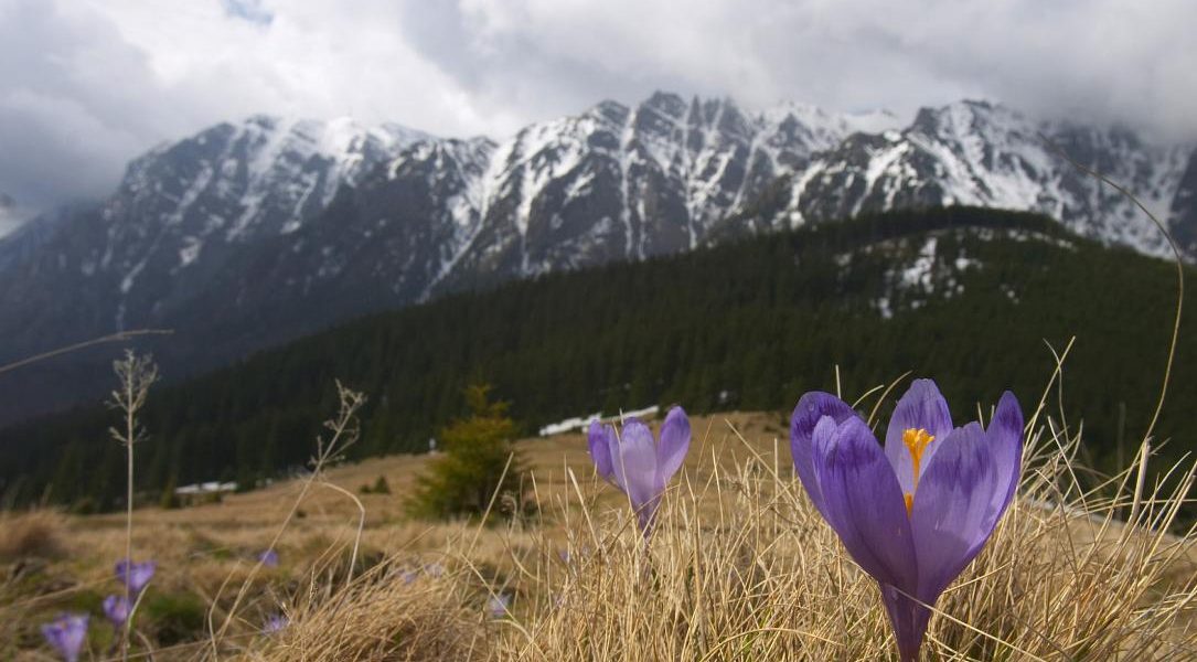Gerul năvălește în România de Paște: Ce temperaturi ne așteaptă?