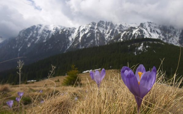 Gerul năvălește în România de Paște: Ce temperaturi ne așteaptă?