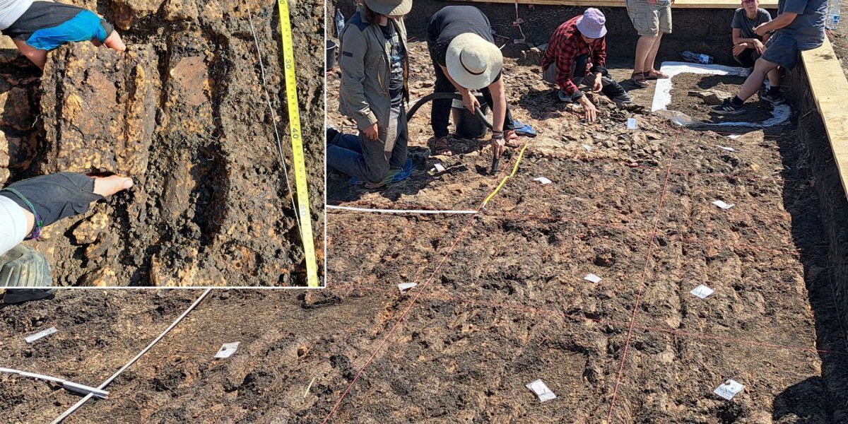 Arheologi din România și Germania, descoperire EPICĂ la Cucuteni