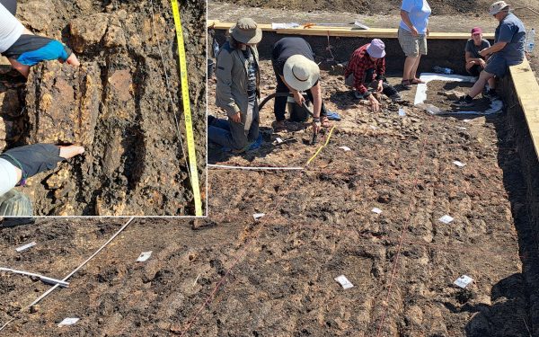 Arheologi din România și Germania, descoperire EPICĂ la Cucuteni