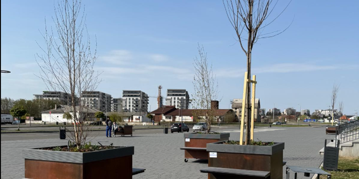 Copaci pe roți la preț exorbitant: Cât costă un „arbore” de agrement