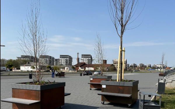 Copaci pe roți la preț exorbitant: Cât costă un „arbore” de agrement