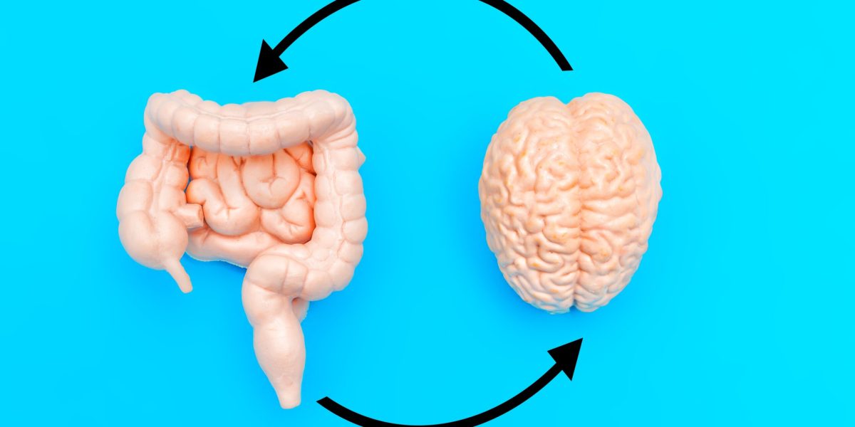 Mâncarea din copilărie: Poate schimba creierul UMAN pe viață