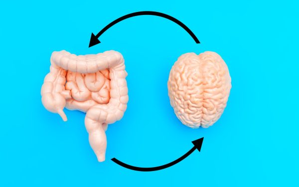 Mâncarea din copilărie: Poate schimba creierul UMAN pe viață