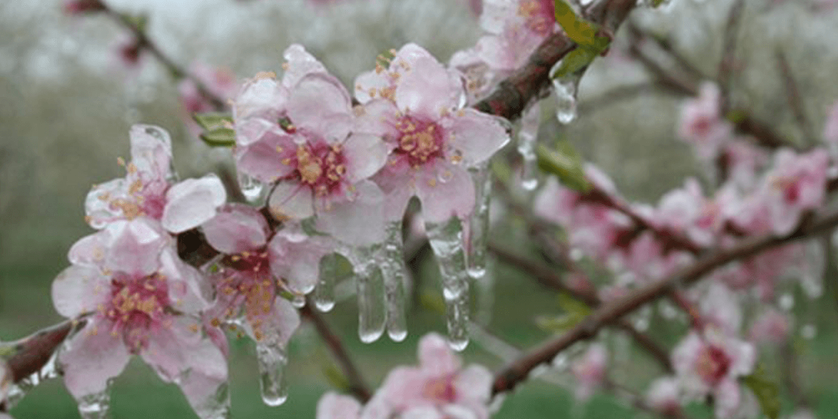 Ger cumplit în Bistrița-Năsăud: Zeci de localități, sub temperaturi de iarnă azi