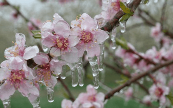 Ger cumplit în Bistrița-Năsăud: Zeci de localități, sub temperaturi de iarnă azi