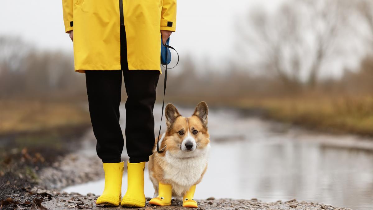 Vreme instabilă în următoarele patru săptămâni, conform prognozei meteorologice Administrația Națională de Meteorologie a emis marți o prognoză detaliată pentru intervalul 6 aprilie – 4 mai, avertizând asupra unei perioade marcate de variații semnificative ale condițiilor meteo