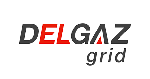 Delgaz Grid pompează 241 milioane de euro în rețelele de gaze și curent, în 2025