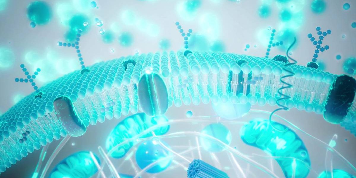 Balonare, greață, reflux după Paște? Cum revii rapid la digestia normală