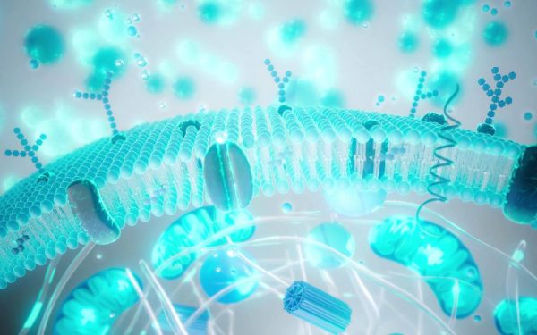 Balonare, greață, reflux după Paște? Cum revii rapid la digestia normală