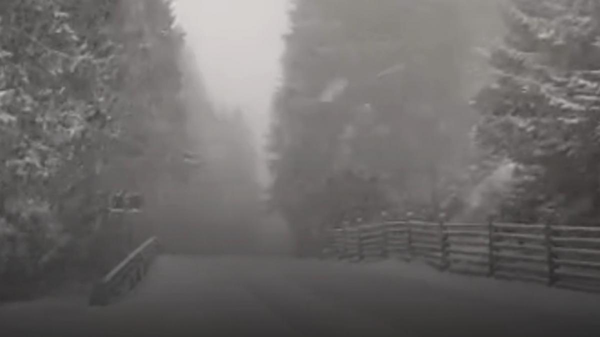 Temperaturi de iarnă și ninsori înaintea sărbătorilor pascale Frigul specific sezonului rece și ninsorile au creat o atmosferă neobișnuită în anumite zone ale țării, chiar în apropierea sărbătorilor pascale