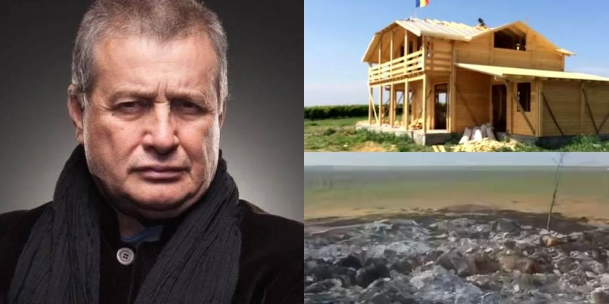 După incendiu: Cum a reacționat proprietarul celor 20 de hectare de vie? FOTO