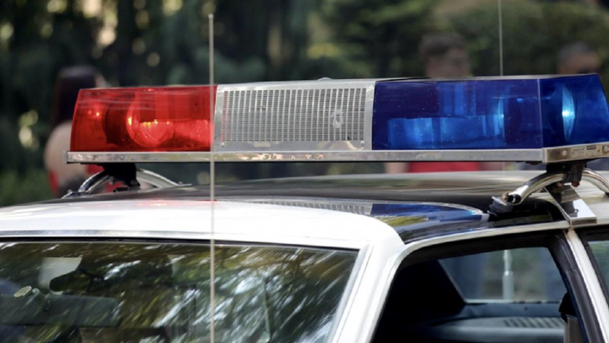 În municipiul Caracal, doi bărbați sunt cercetați de polițiști pentru uciderea unui câine