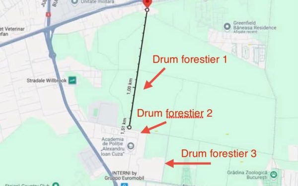 Directorii din silvicultură, pe lista neagră: Buzoianu cere demiteri