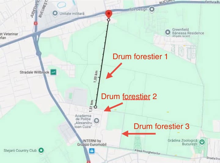 Directorii din silvicultură, pe lista neagră: Buzoianu cere demiteri