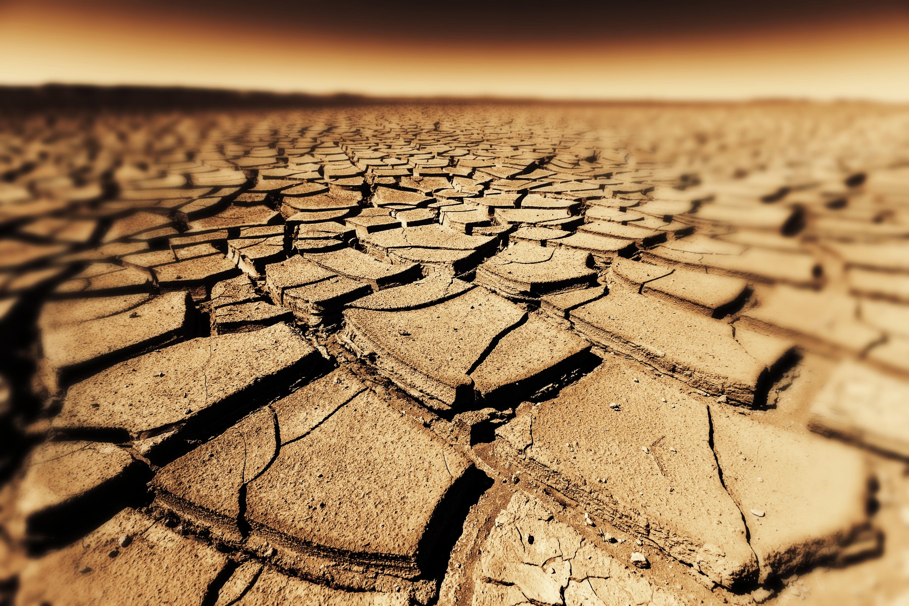 Seceta gestionează un risc emergent pentru sănătate publică: bacteria rezistentă la antibiotice Seceta severă din ultimele luni a dus la un fenomen sever: precipitațiile scăzute au redus drastic nivelurile apelor freatice și de suprafață, creând un mediu propice pentru evoluția unor bacterii rezistente la antibiotice