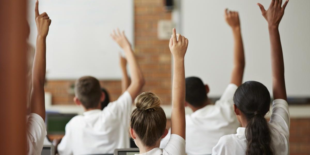 Evaluarea Națională, pe cale să se schimbe: Dimian despre Educație