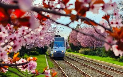 Cele mai importante evenimente din București pe care trebuie să le notezi în calendar