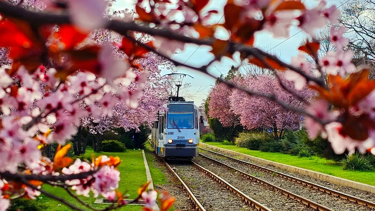 Cele mai importante evenimente din București pe care trebuie să le notezi în calendar