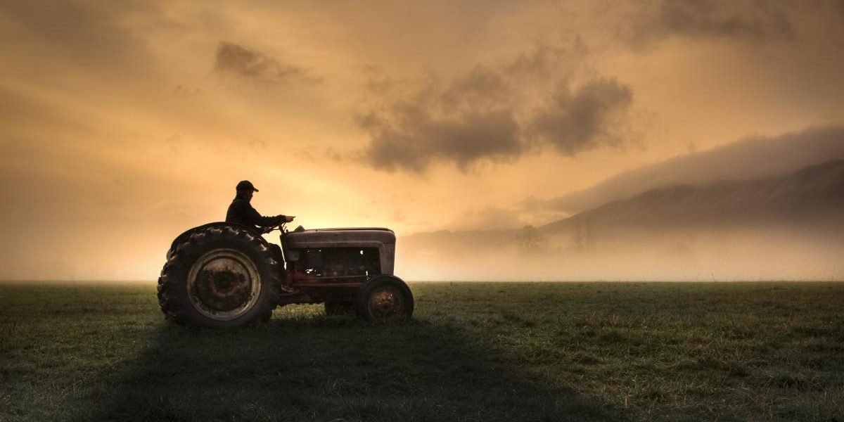 Fermierii, strigăt de alarmă: Guvernul și UE, ACTIUNEAZĂ! Criza-i la ușă