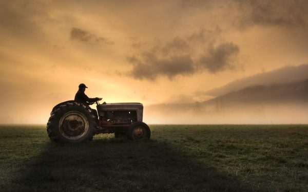 Fermierii, strigăt de alarmă: Guvernul și UE, ACTIUNEAZĂ! Criza-i la ușă