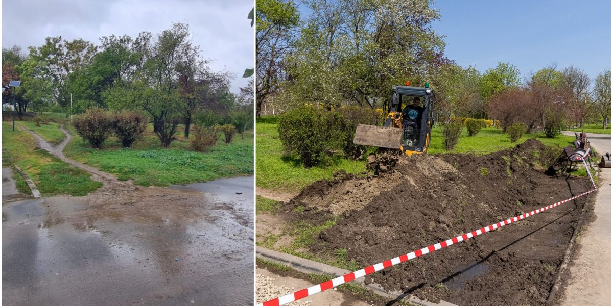 Grădină de ploaie în Parcul Tineretului din București, o premieră