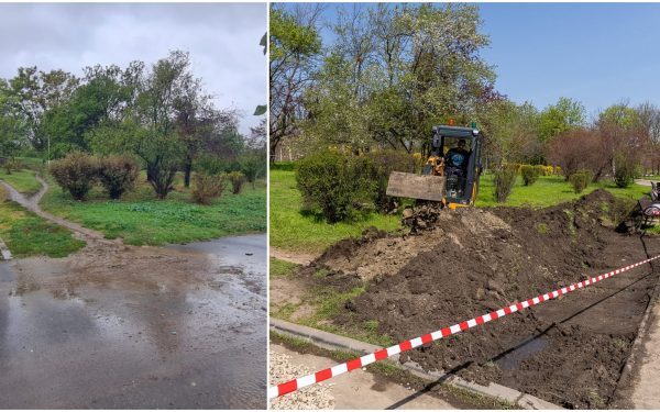 Grădină de ploaie în Parcul Tineretului din București, o premieră