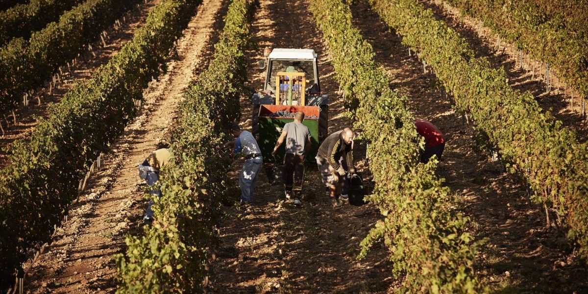 Spania legalizează 500.000 de imigranți: Cine se califică să primească acte